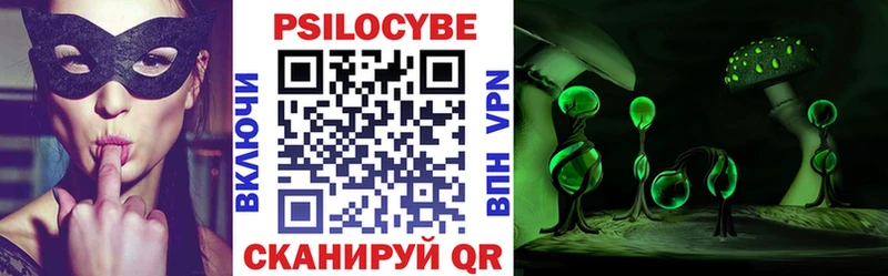 Псилоцибиновые грибы мицелий  ссылка на мегу онион  Гусев  купить  